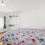 Lino * Dajla